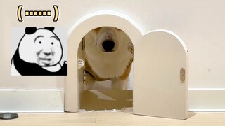 “抱一丝啊！装修的时候还没有你～”