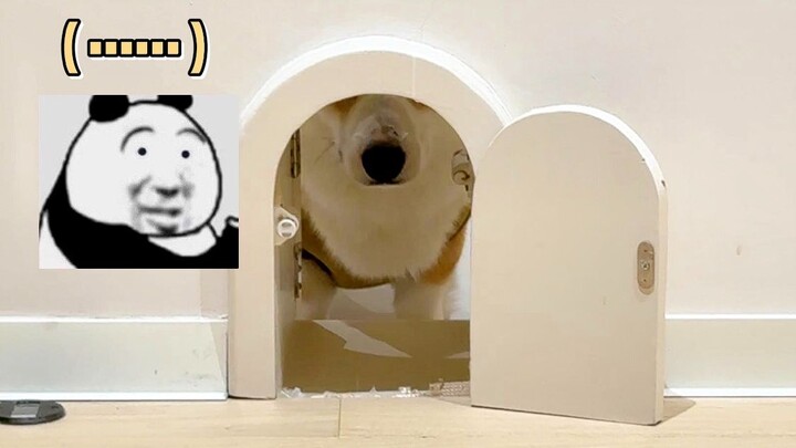“抱一丝啊！装修的时候还没有你～”