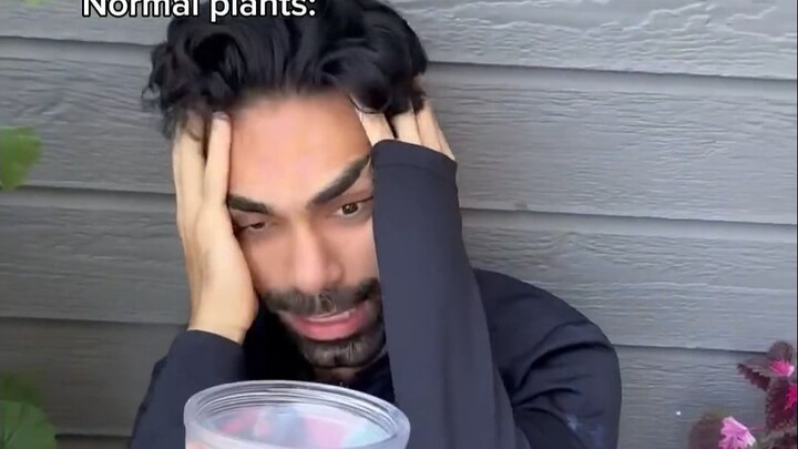 Phản ứng khác nhau của các loại cây khi bạn quên tưới nước