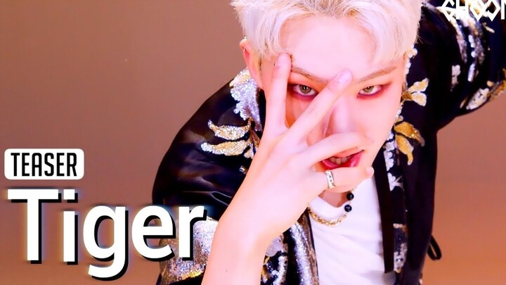 【Phụ đề tiếng Trung 4K】Tiger - Kwon Soon-young Hoshi Teaser [Be Original]