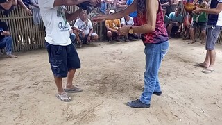 talo