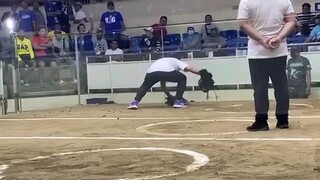 WIN @SJC DAYCHAMP 5COCK ELIMS BATANG MANDALUYONG