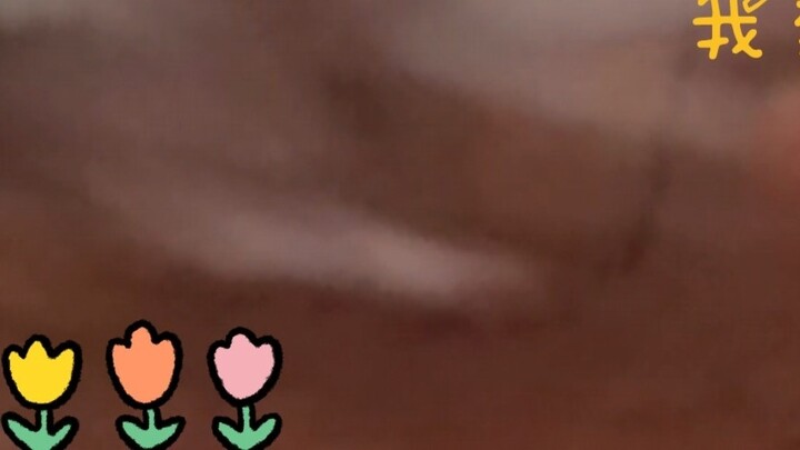 Con cáo Ji Ji Ji Ji của tôi