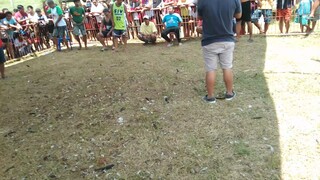 talo po tayo mga idol