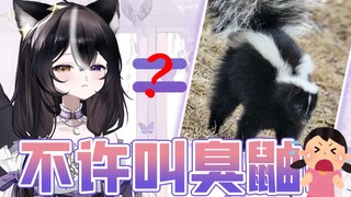 【澄清】主播不是臭鼬！！