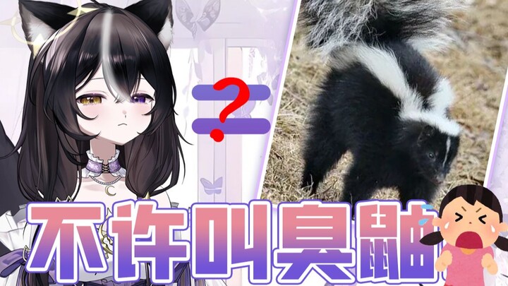 【澄清】主播不是臭鼬！！