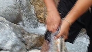 Cast Net Fishing in Nepal | Himalayan Trout Fishing with Handmade Cast Net |