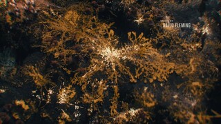 The Last of Us season 2 EP 1(11) พากย์ไทย