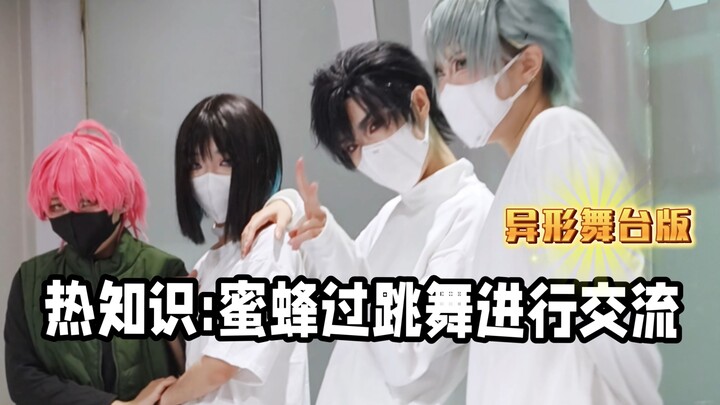 热知识:蜜蜂通过跳舞进行交流⭐异形舞台版