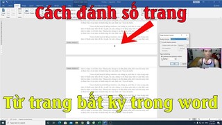 Cách đánh số trang trong word, đánh số trang từ trang 2 hay bất kỳ trong word