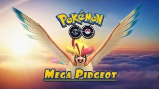 Mega Raid! Đấu Với Mega Pidgeot tìm kiếm năng lượng Mega Trong PKM Go
