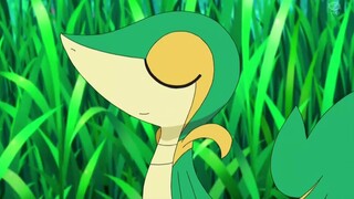 In the Year of the Snake, you still have to watch the royal sister Tsundere Snake