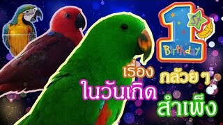 รีวิวนกแก้ว: เรื่องกล้วยๆในวันเกิดสำเพ็ง EP.38