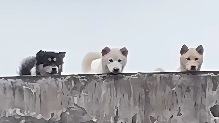 "I don't just love puppies; I also love my carefree childhood."