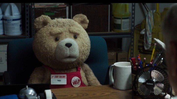 Teddy's Path to Promotion (Continued)