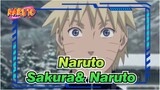 [Naruto] Apakah Sakura Menyukai Naruto?