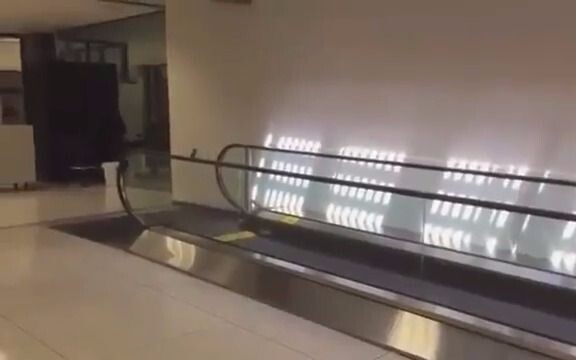 Birds discovering new fun!