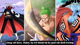 Sanji Có Haki Bá Vương Hay Không_ - Tiềm Năng Sức Mạnh Của Sanji p4