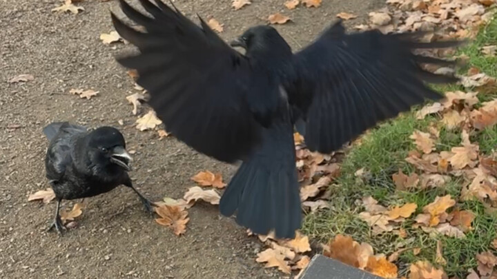 บ้านเราไม่มีที่ให้คนที่สี่เด็ดขาด!