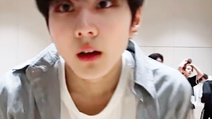 【ENHYPEN Yang Jinyoung】Kumpulan Kecil Percakapan Kucing yang Lucu dan Menggemaskan: Kamu bilang (men