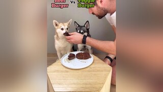 Beef burger vs veggie burger