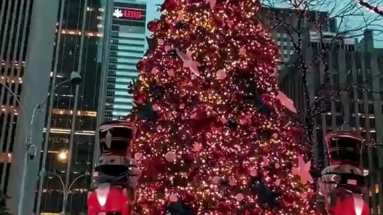 Christmas Magic in the Air 🎄 | Christmas Chaos Begins 🎁