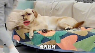 เกือบได้ไปเจอคุณย่าของฉันแล้ว