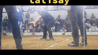 putu vs. puti bakbakan