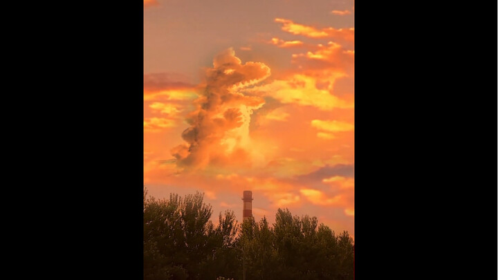 ไดโนเสาร์ตัวนี้คือแสงอาทิตย์ตกที่สวยที่สุดเท่าที่คุณเคยเห็นเลยล่ะ!