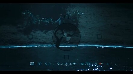 The Love Story Behind Instant Noodles in the Wild.