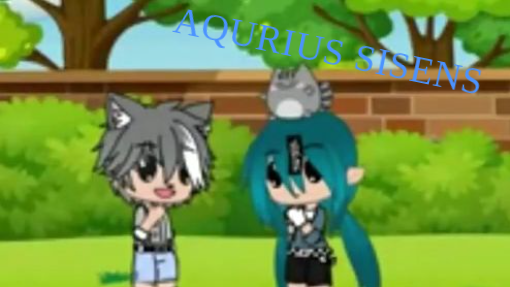 would you marry me aqauarius :)