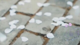 摄政王妃很骄纵第六集（骄纵任性羡X腹黑心机湛   忘羡  双洁  甜宠  ABO  HE )