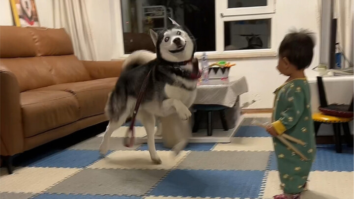 Sun: I didn't mean to do that. My brain couldn't control my four legs.
