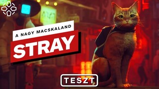 Az év legcukibb játéka - Stray teszt