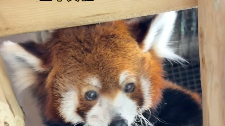 ก่อนไปสวนสัตว์ ต้องรู้ให้ครบ 4 เรื่องจริงนี้!