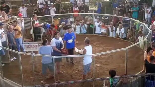 2nd Fight 3HITS ULUTAN            # Loss