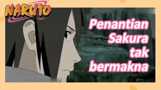 Penantian Sakura tak bermakna