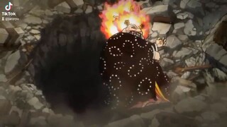 kid dan law vs bigmom
