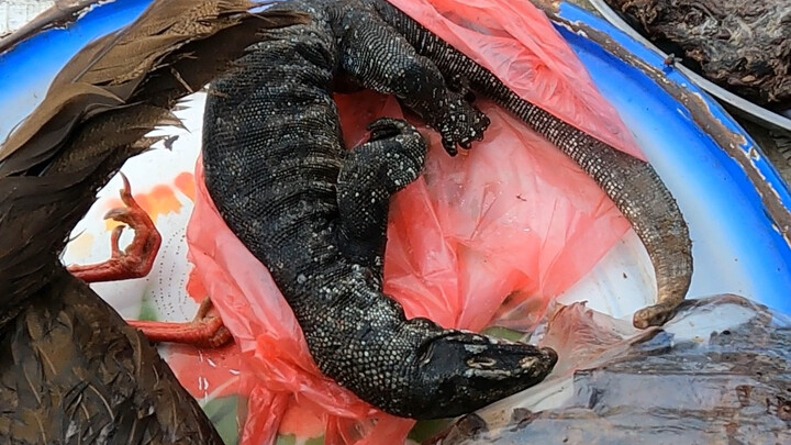 Di pasar Laos, burung dan binatang berkeliaran di mana-mana, berbagai satwa liar dijual sebagai hida