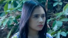 431 Ganteng Ganteng Serigala