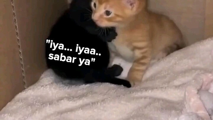 ketika punya bestie yang kesabarannya setebal isi dompet......