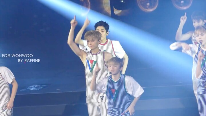 全娇娇带你走进女团的世界 pick me &dream girl