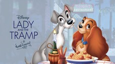 Watch movie [Lady and the Tramp (1955) Trailer  ] link in description: