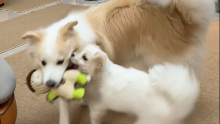 Immersive watch: these two biting each other’s mouths & Chen Bella having an emotional breakdown. #B