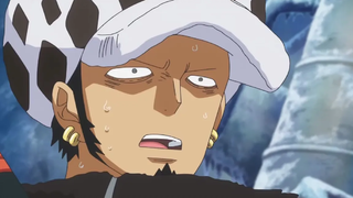 วันพีช ก่อตั้งพันธมิตรโจรสลัด ลูฟี่ ลอว์