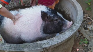 น้องรวยซุกซนแบบนี้ต้องจับไปอาบน้ำ