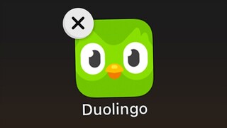 Ketika Anda menghapus Duolingo... (daging matang)