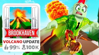 De Laatste Update In Brookhaven RP!🏡