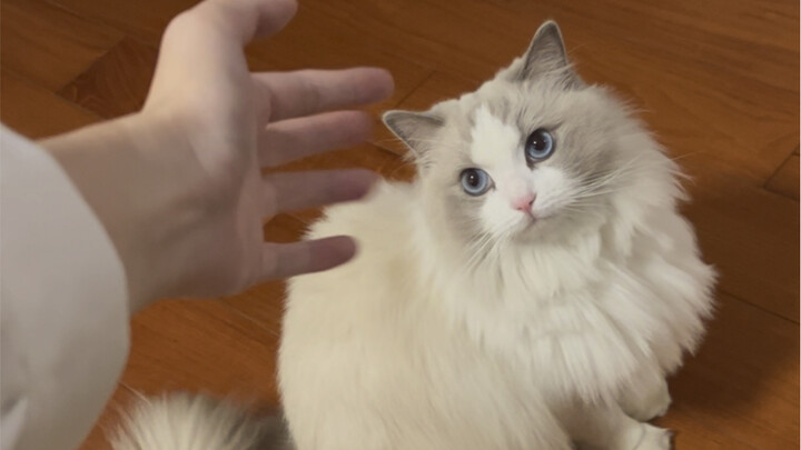 【ซูซู】สลับเป็นหูฟังเครื่องบินในหนึ่งวินาที
