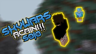 SKYWARS AGAIN!!! ~nethergames